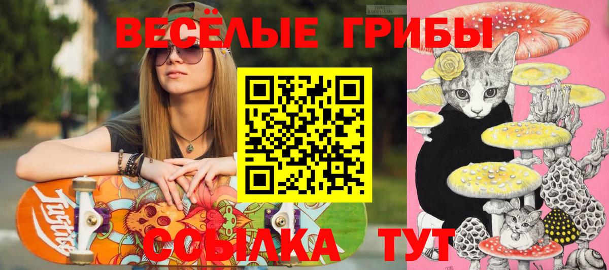 Галлюциногенные грибы Cubensis  Вход с VPN  Псилоцибиновые грибы Cubensis  Братск 