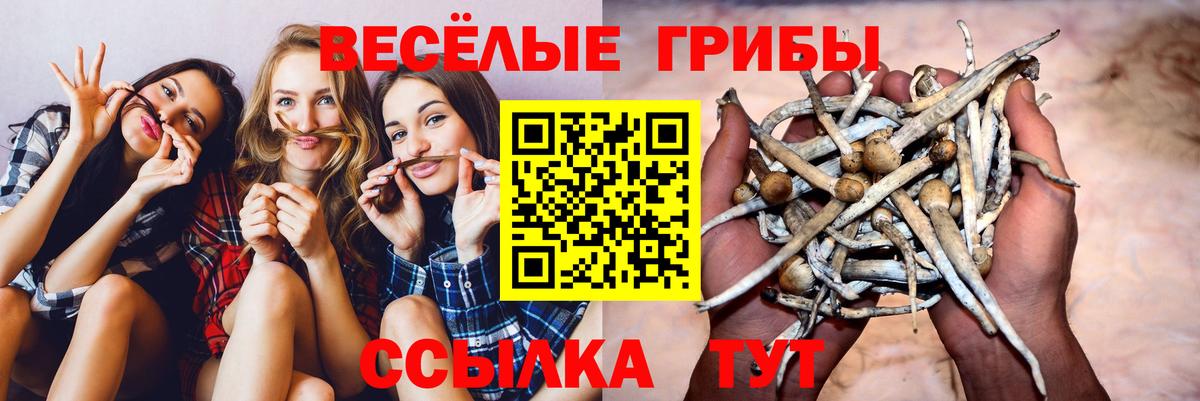 Галлюциногенные грибы мицелий Братск